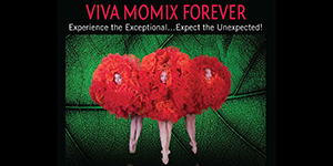 past events - Viva Momix